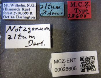 Media type: image;   Entomology 28605 Aspect: labels